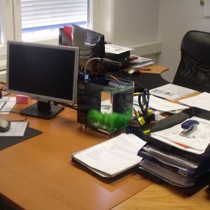 Mini Nano Aquarium 7l