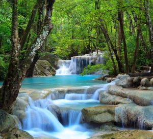 Mauk Infrarot Wandheizung Fluss im Wald 300 W