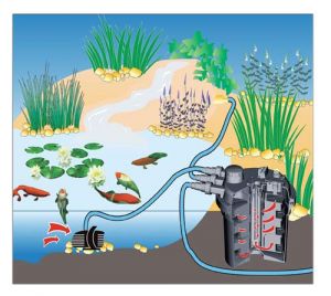 MAUK XL UVC Teichdruckfilter Set 13Watt bis 16.000Liter Teiche (