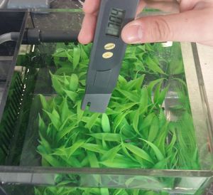Mauk digitaler PH Tester Poolwassertester Aquariumtester